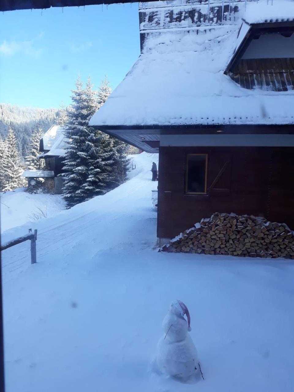 Holiday Home Elena Kopaonik Luaran gambar